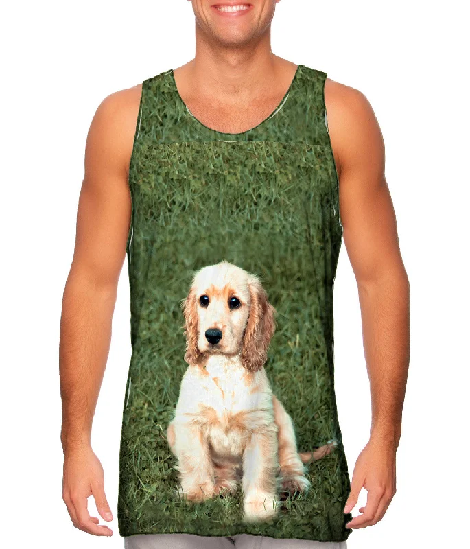 Minimal Style Adoreable Cocker Spaniel