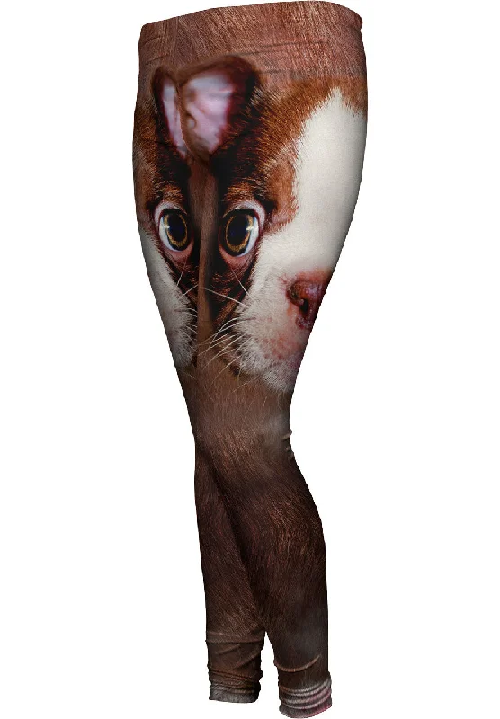 Cool Summer Boston Terrier Face
